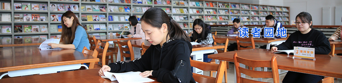 活动安排